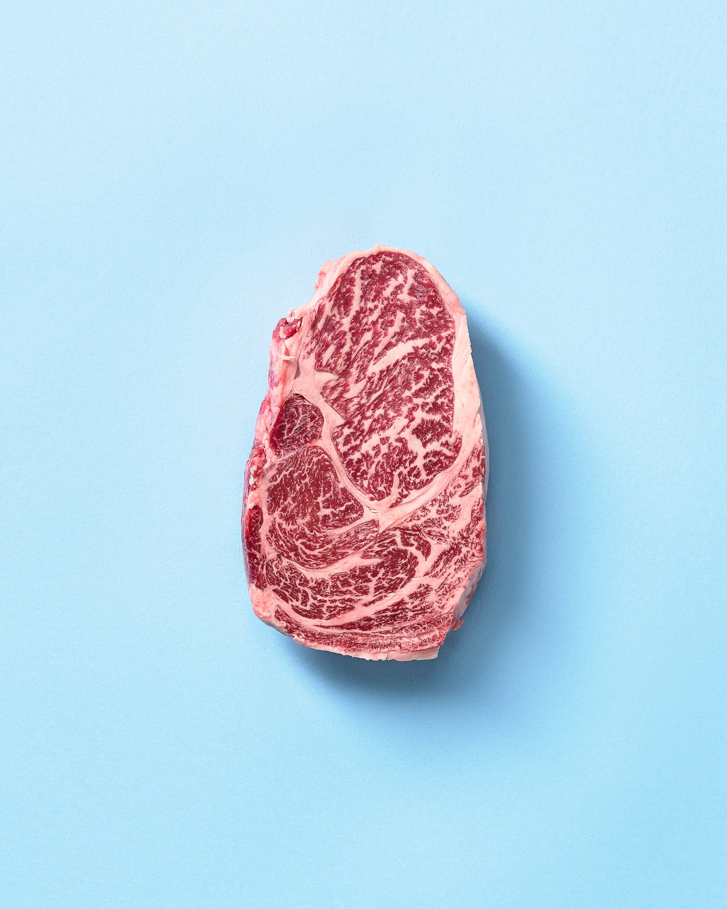 Moriyama Full Blood Wagyu Tenderloin Chilled (MB 8+)